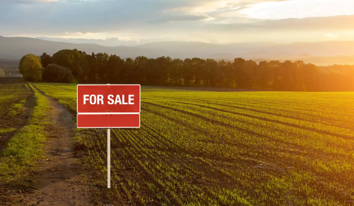 Investing in UK Land – Is it the Next Big Thing?