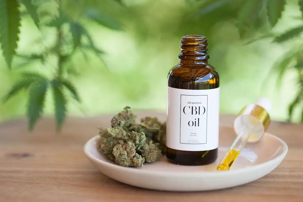 What are the benefits of CBD in medical terms?