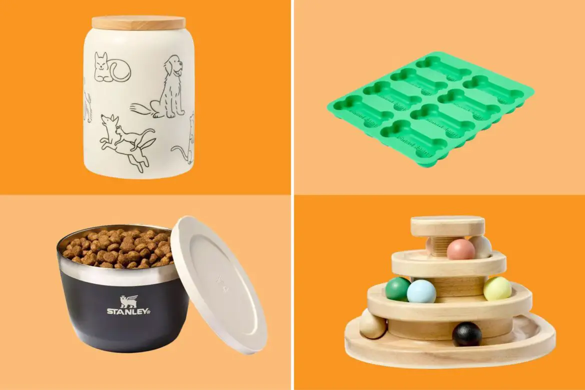 Target Just Launched a New Pet Collection, and Prices Start at $5 ArticlePure