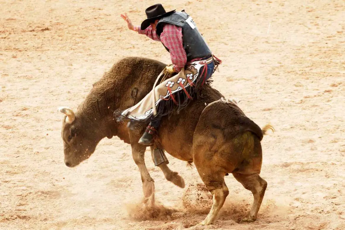 Teen Rodeo Champ ‘Fighting For His Life’ After Bull Stomps on His Chest ArticlePure