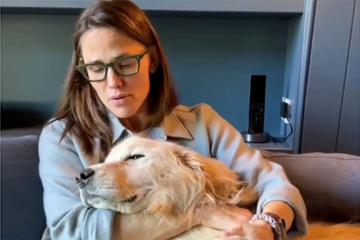 Jennifer Garner’s Golden Retriever Birdie Dies ArticlePure