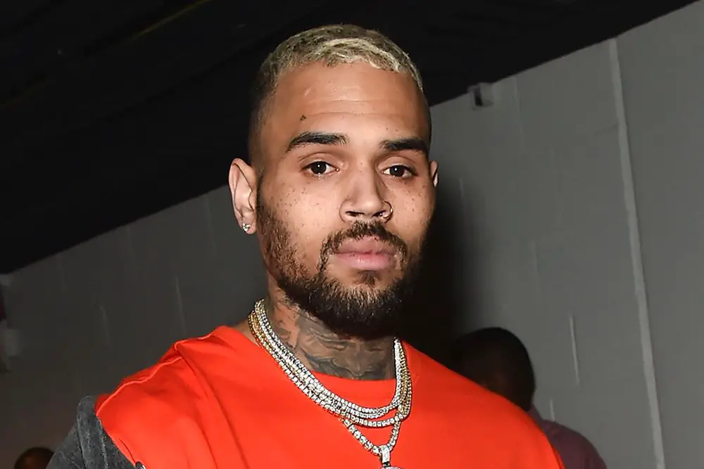 Chris Brown Sues Warner Bros. for $500M Over Docuseries, Says He Was Falsely Labeled as an Abuser ArticlePure