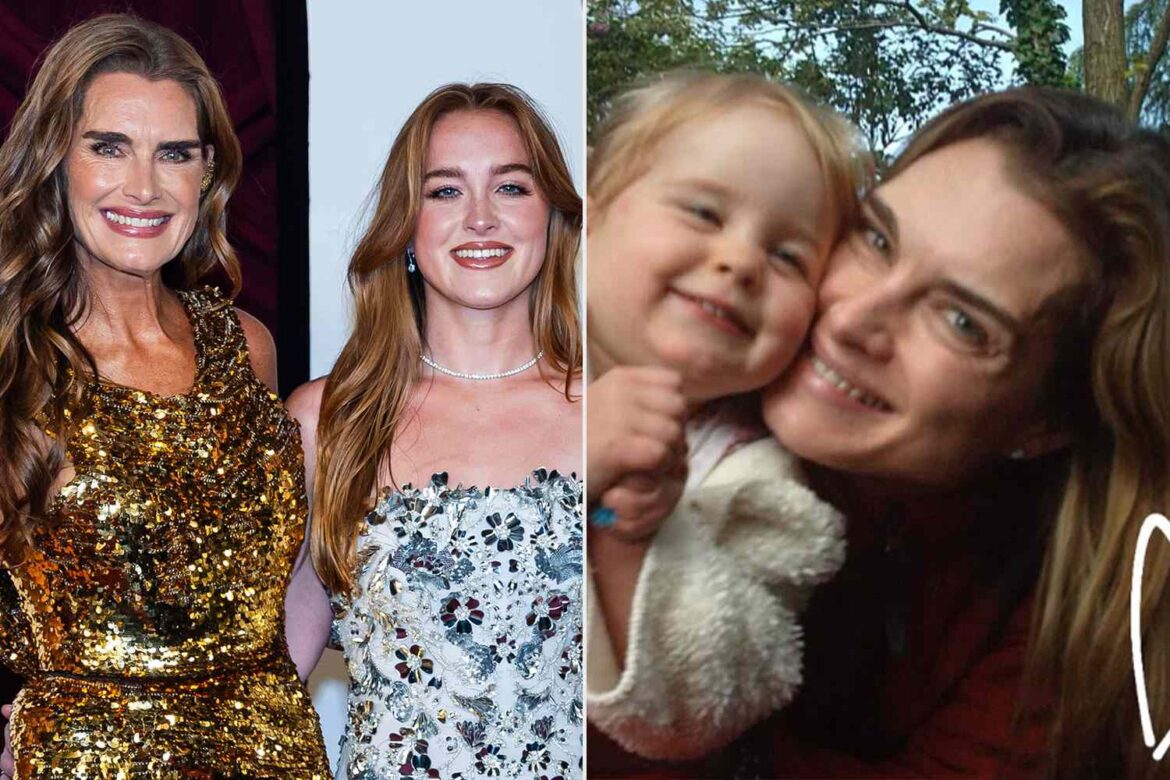 Brooke Shields Celebrates Her Milestone 60th Birthday: Photos ArticlePure