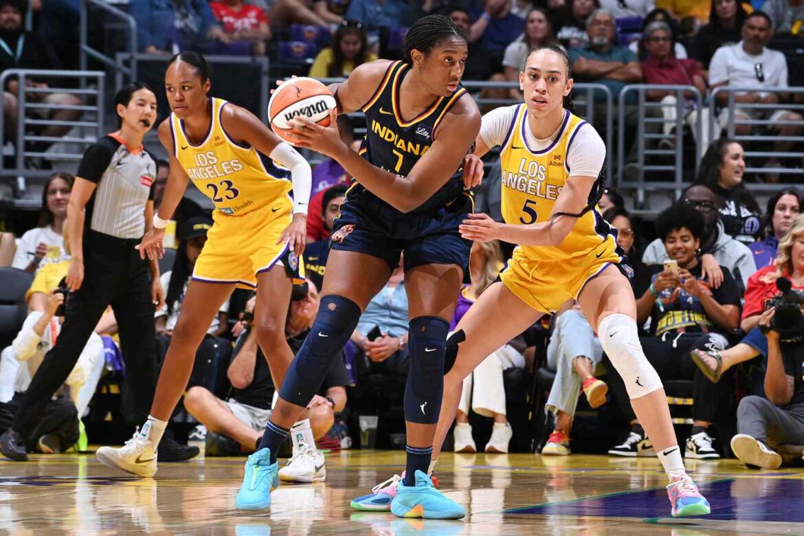 Sex Toy Thrown Onto the Court Halts a WNBA Game For a Third Time ArticlePure